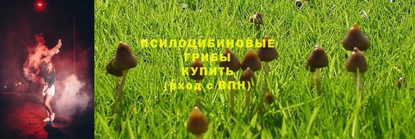 jwh Белокуриха