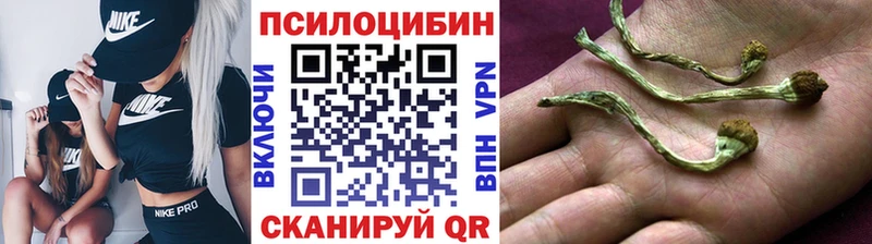 Псилоцибиновые грибы MAGIC MUSHROOMS  Волчанск 